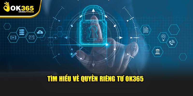 Tổng quan  Quyền Riêng Tư OK365