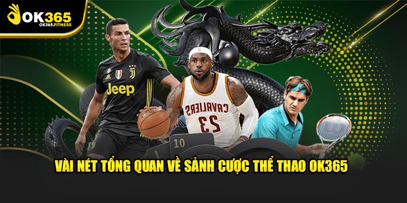 Vài nét tổng quan về sảnh cược thể thao 