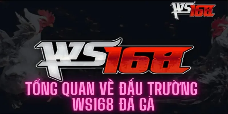 Toàn cảnh về sân chơi đá gà ws168